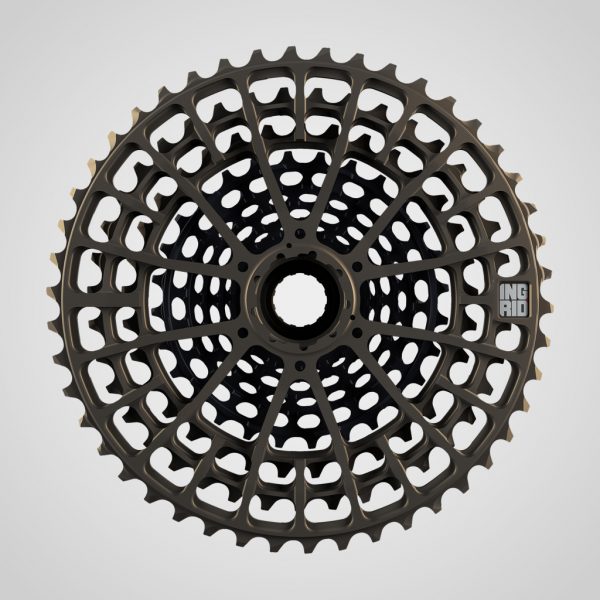 Transmisión Ingrid 1x11