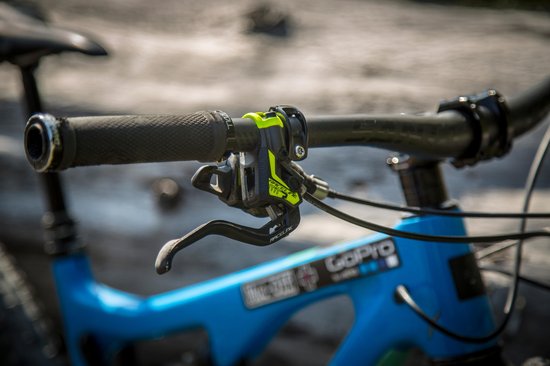 punos-lizard-skin-bearclaw