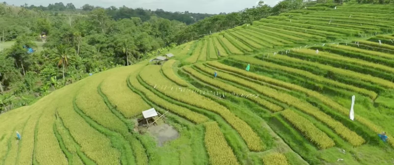 Indonesia y Tailandia paraísos para el mountain bike